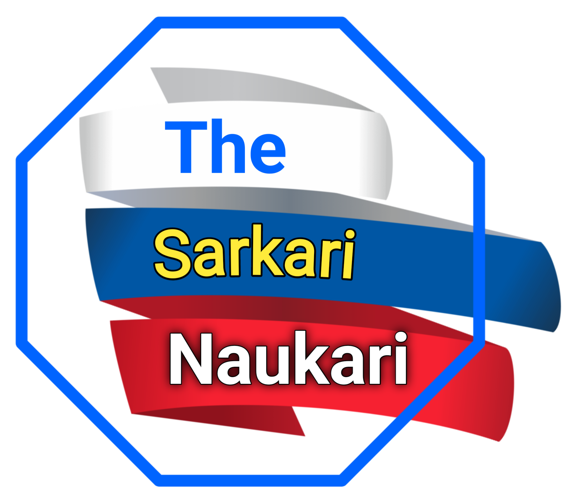 THE SARKARI NAUKARI